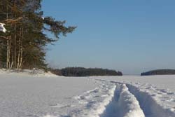 Winterabenteuer, Nordeuropa, Finnland, Finnisch Lappland: Skispur im Schnee
